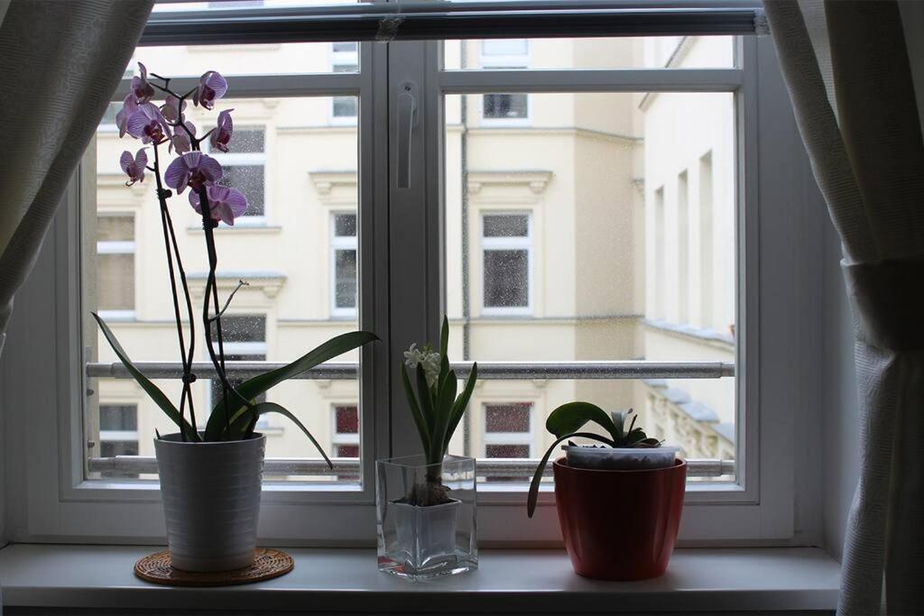 Apartment - Berlin City Studio Dış mekan fotoğraf